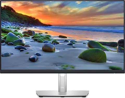 Dell P2421D 23.8" 8 ms 2K Pivot IPS 60 Hz Monitör