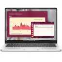 Dell PC14250 BTO108 Pro Ultra 7 255U 32GB 512GB SSD 14 Win11 Pro Notebook Bilgiayar