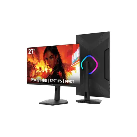 GamePower Lunis L60 27'' Flat 260Hz Fast IPS 0.5ms RGB FHD Pivot Gaming Monitör