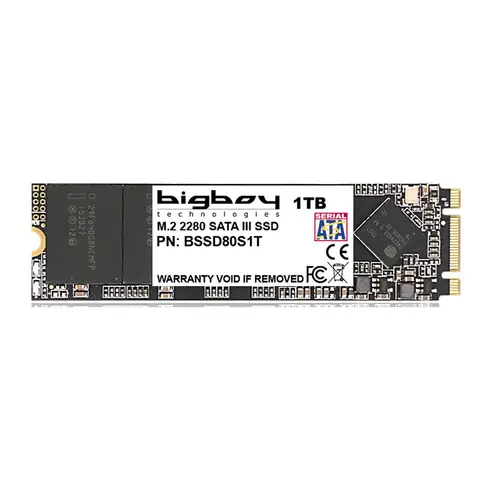 Bigboy BSSD80S1T 1 TB 550-430 Mb/s 22x80 M.2 SATA3 SSD Harddisk