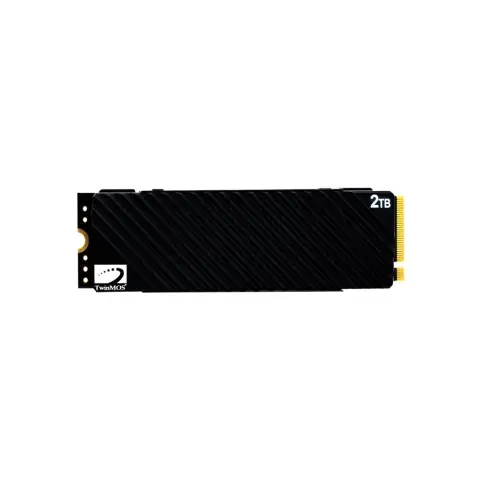 TwinMOS 2TB 7500-6800MB/s M.2 SSD NV2TBG42280 Soğutuculu