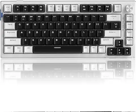 MageGee SKY81 RGB %75 TKL Blue Whale Switch Kablolu/Kablosuz Mekanik Oyuncu Klavyesi