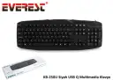 Everest KB-250U Q TR USB Multimedia Siyah Kablolu Klavye