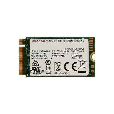 Union Memory AM620 256GB 2242 NVMe M.2 SSD (Kutusuz)
