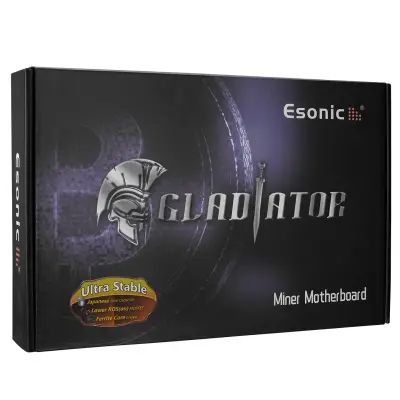 Esonic B250 BTC Gladiator DDR4 6.7 Gen H110 M-ATx Anakart