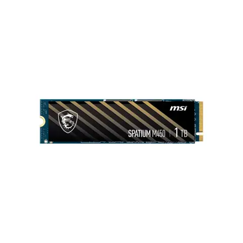 MSI SPATIUM M450 1TB 3400-2400MB/s M.2 SSD
